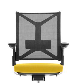 Lumbalstütze, höhenverstellbar (Rücken Netz)